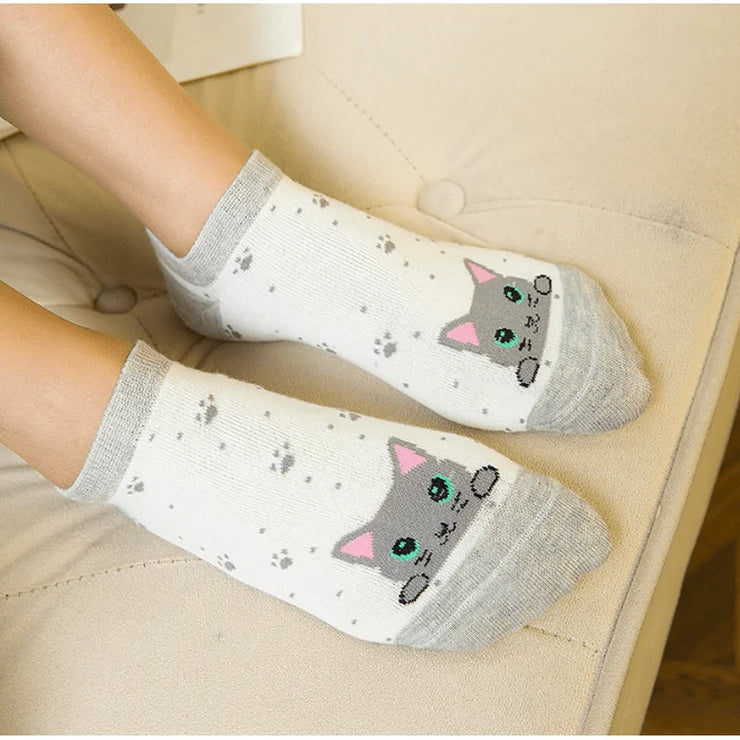 Lot de 5 Chaussettes Chat Bouclé : Confort Douillet et Style Fantaisiste pour Vos Pieds