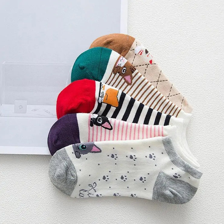 Lot de 5 Chaussettes Chat Bouclé : Confort Douillet et Style Fantaisiste pour Vos Pieds